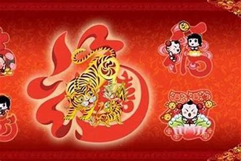 属虎|属虎的年份有哪些 属虎的年份及年龄对照表